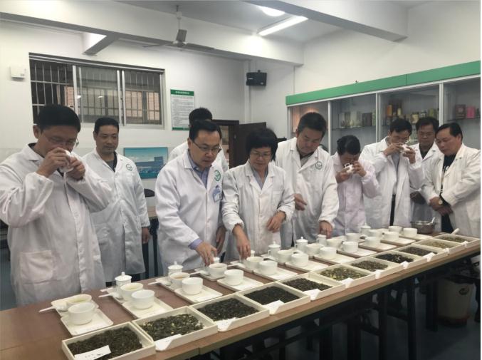 瀟湘茶業(yè)開展花茶審評和座談會，劉仲華院士等專家共謀花茶產(chǎn)業(yè)發(fā)展