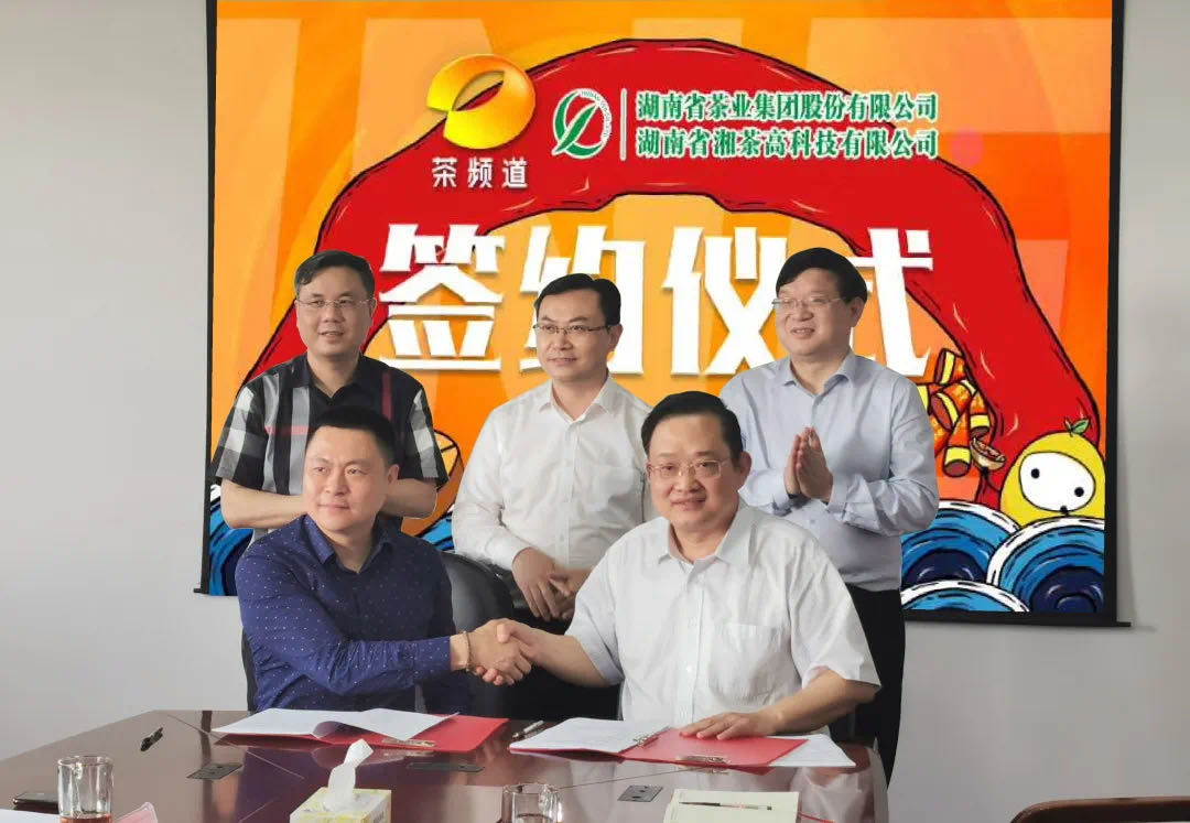 院士見證，輕輕茶發(fā)力品牌建設(shè)，與茶頻道達(dá)成深度合作
