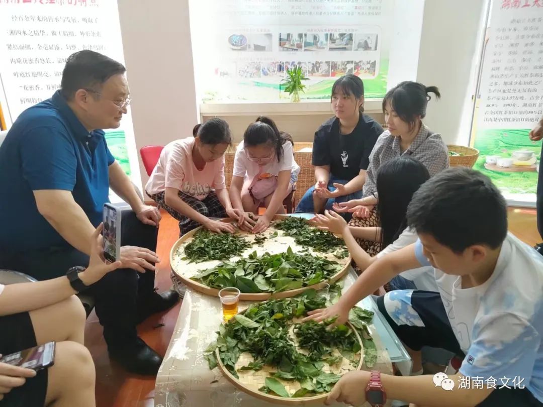 原載人民日?qǐng)?bào)“人民視點(diǎn)”茶葉是怎樣做出來(lái)的？湖南大、中、小學(xué)生體驗(yàn)湖南工夫紅茶制作